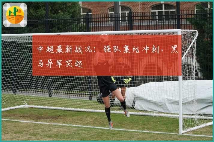 中超最新战况：强队集结冲刺，黑马异军突起